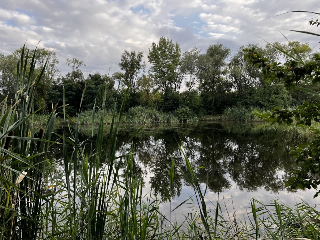 •  Fotó: Facebook/Proiectul Parcul Est