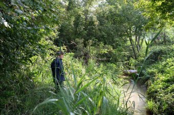 Vezetett barangolás a kolozsvári Keleti parkban