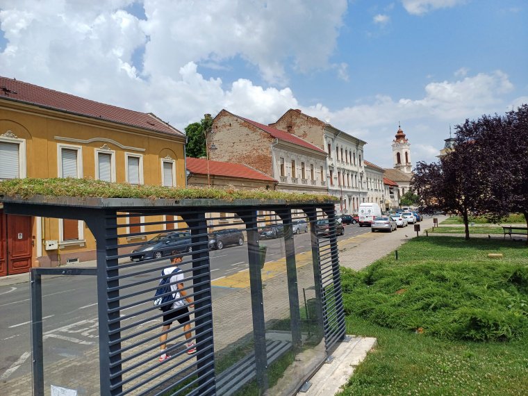 Bevált a varjúháj, újabb zöldtetős buszmegállókat létesítenek a Maros-parti megyeszékhelyen