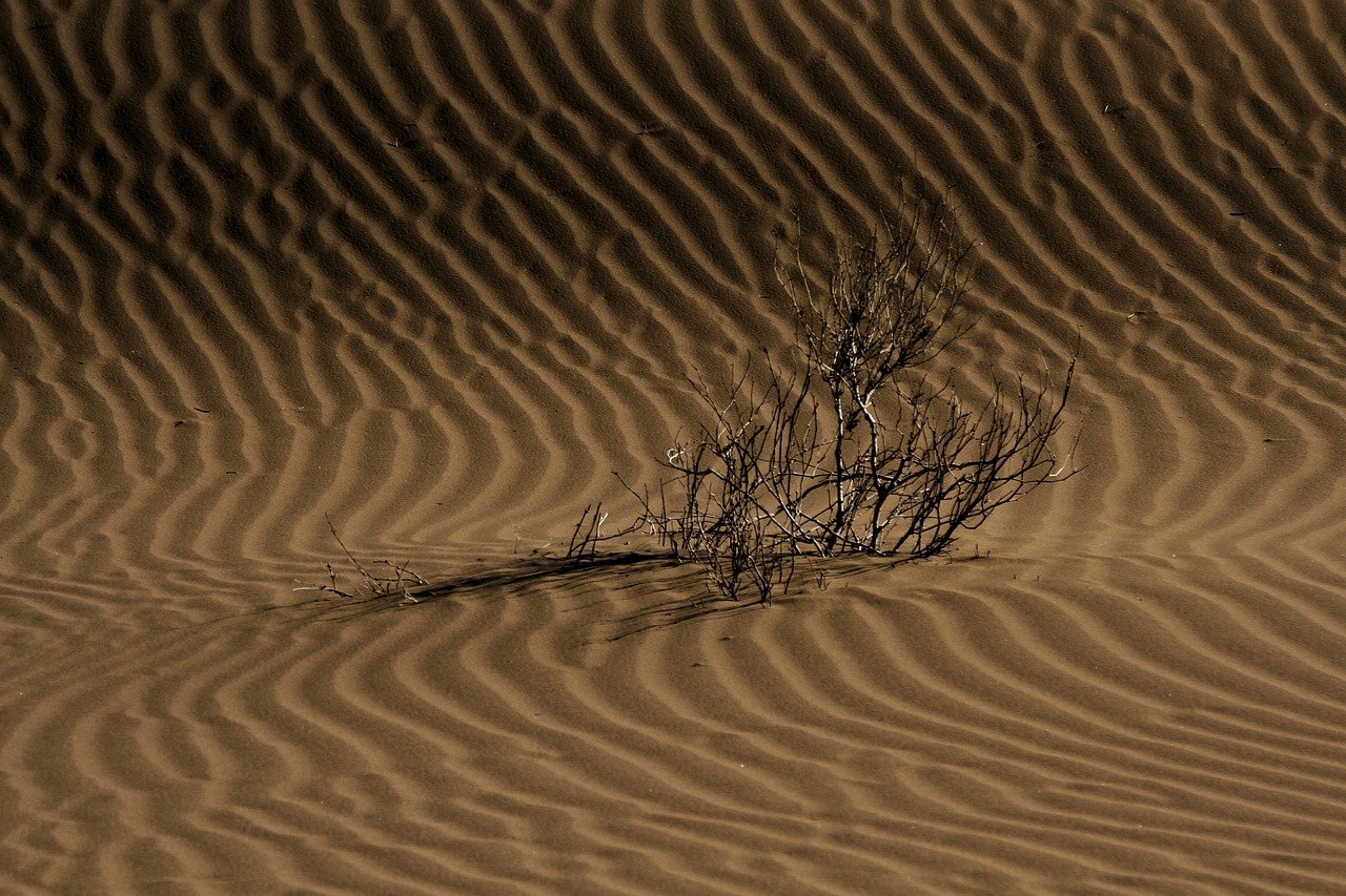 •  Fotó: Pixabay.com