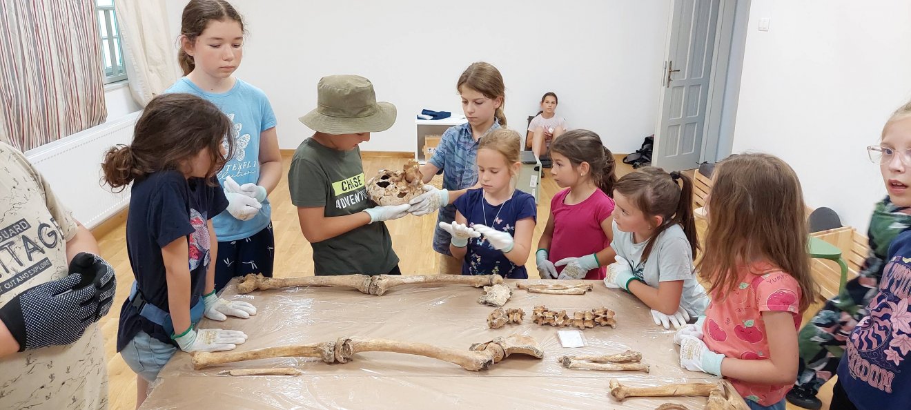 A gyerekek megismerkedtek a fizikai antropológiával, azaz az ember régészetével, csonttanával •  Fotó: Székely Nemzeti Múzeum