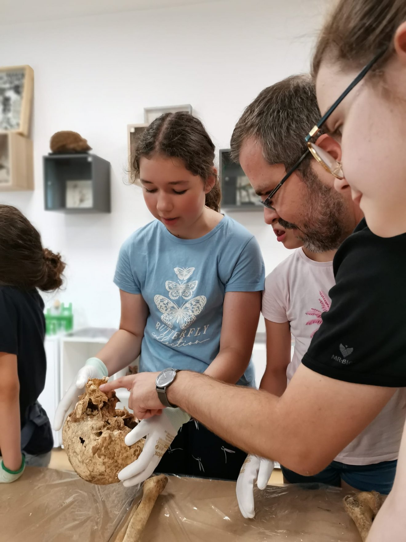 •  Fotó: Székely Nemzeti Múzeum