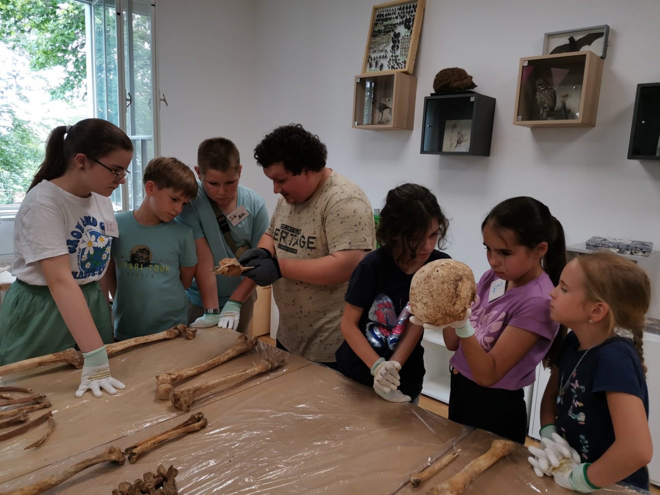 •  Fotó: Székely Nemzeti Múzeum