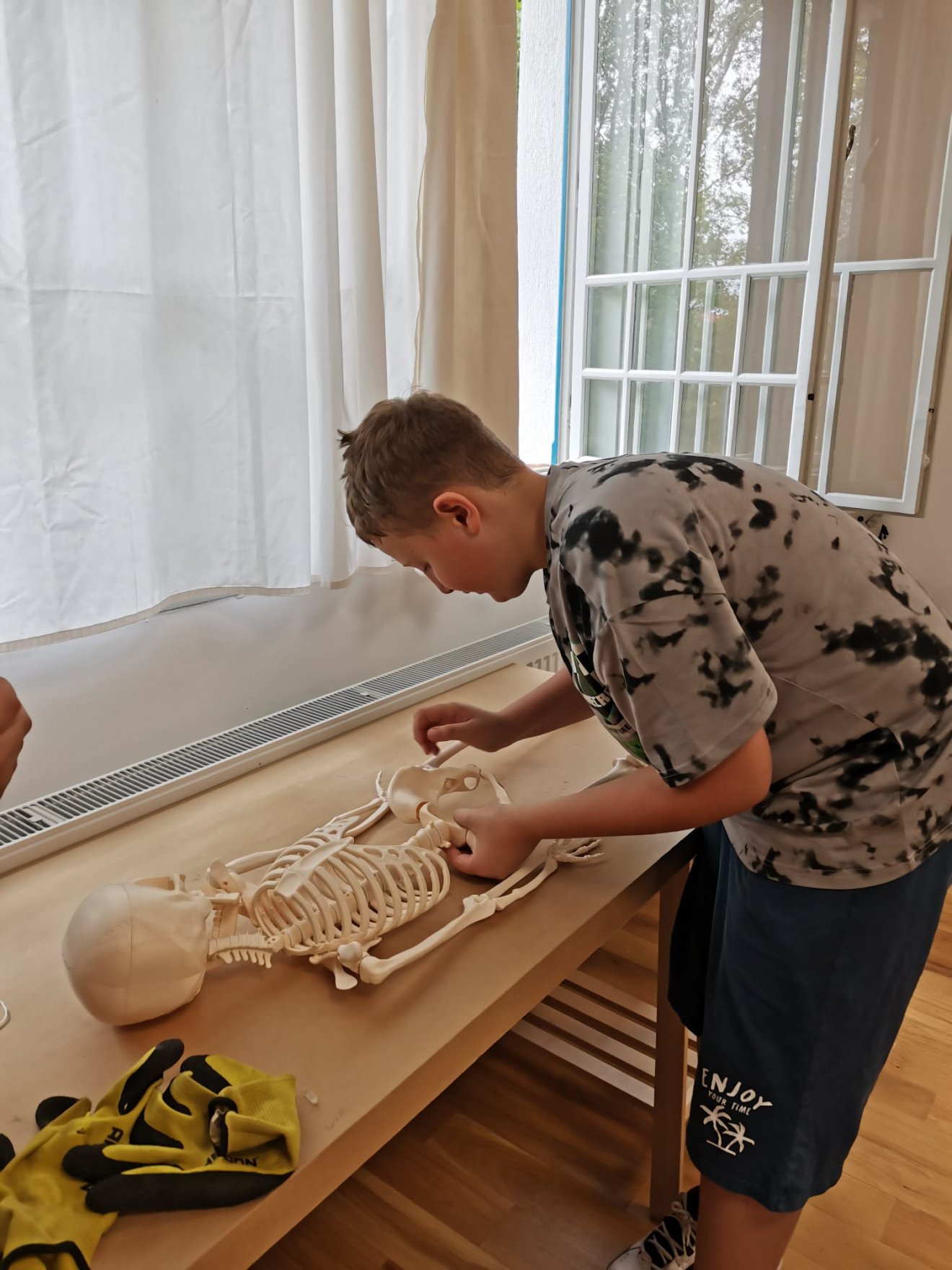 •  Fotó: Székely Nemzeti Múzeum