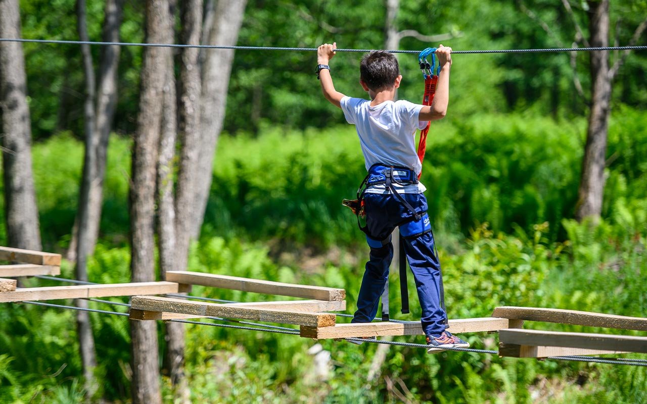 Képünk illusztráció •  Fotó: Dinosaur World Transylvania