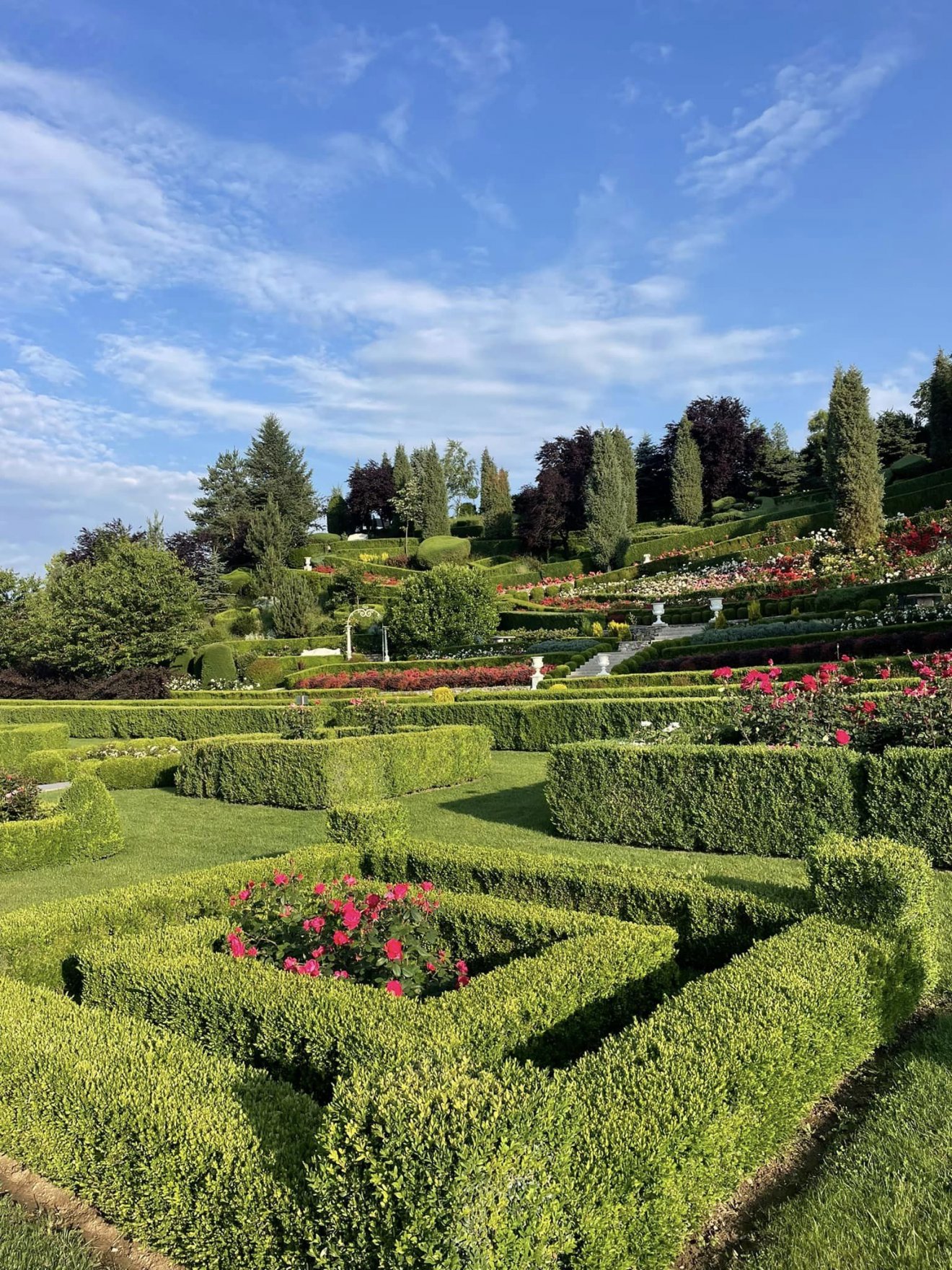 •  Fotó: Facebook/I Giardini di Zoe