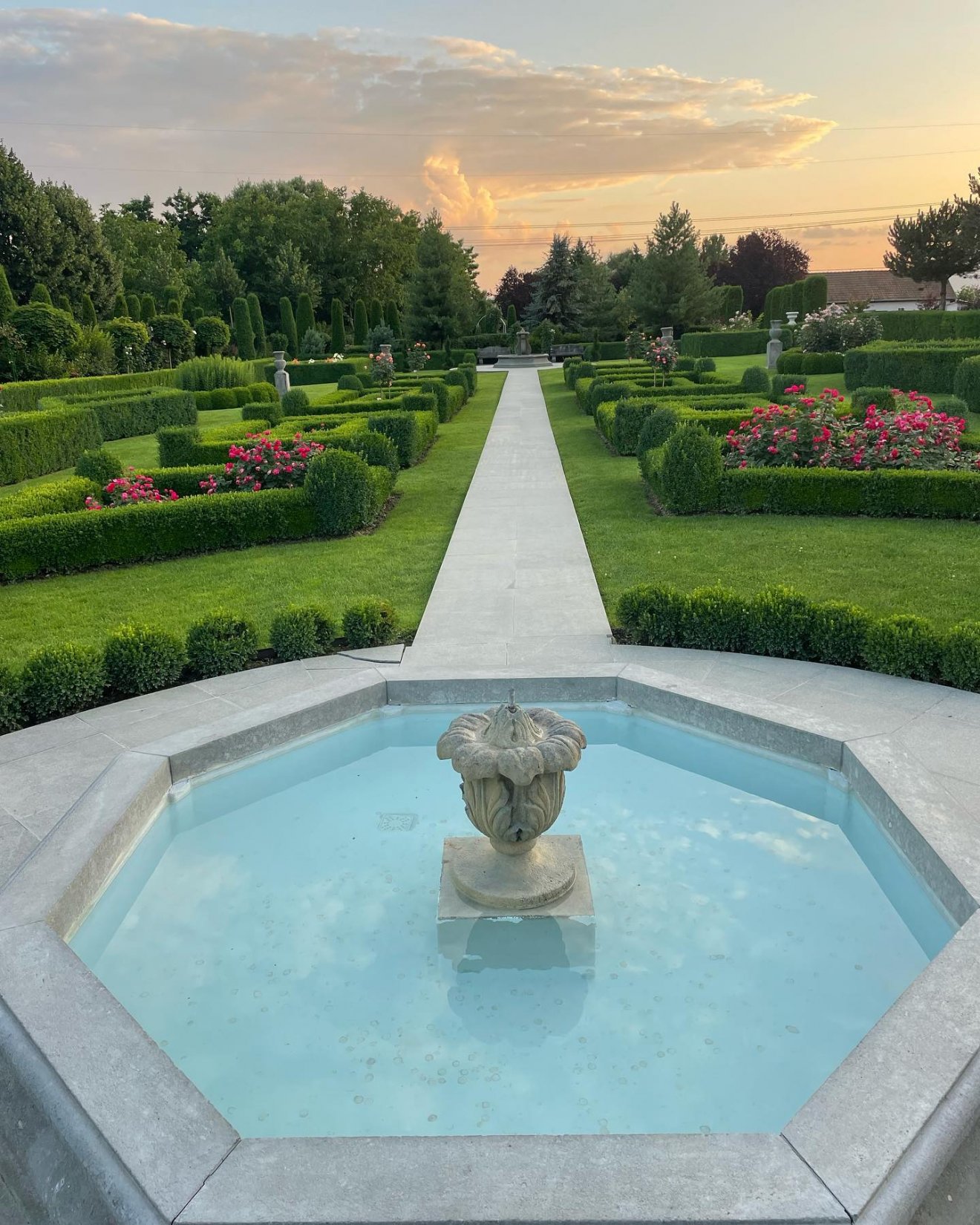 •  Fotó: Facebook/I Giardini di Zoe