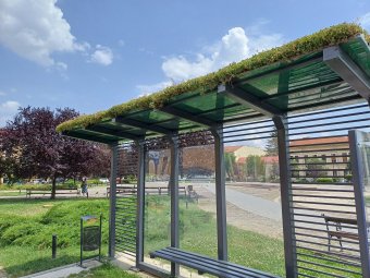 Laboratóriumi vizsgálat bizonyította: szándékosság állt a zöldtetős buszmegálló kiszáradása mögött