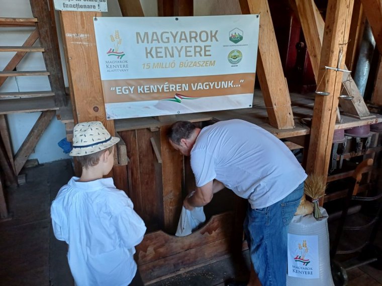 Másodszor tartottak búzaösszeöntést Arad megyében a Magyarok kenyere program keretében