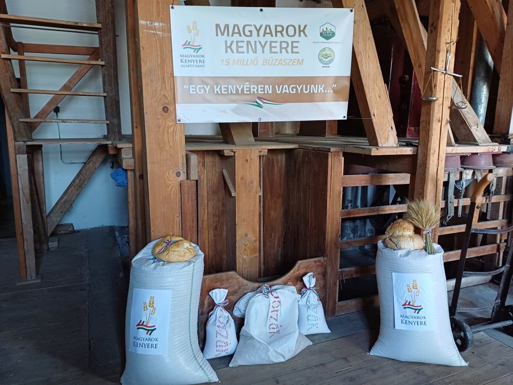 Magyarok kenyere •  Fotó: Pataky Lehel Zsolt