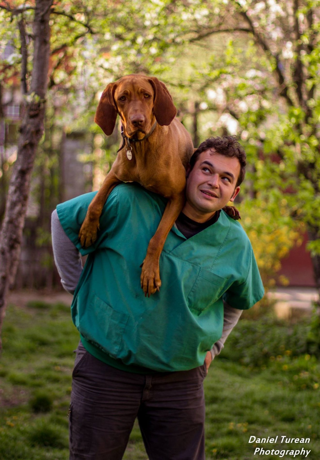 Dósa Gerő állatorvos szerint a panzió vagy szitter kiválasztásában sokat segíthet egy ismerős ajánlása •  Fotó: Daniel Turean Photography