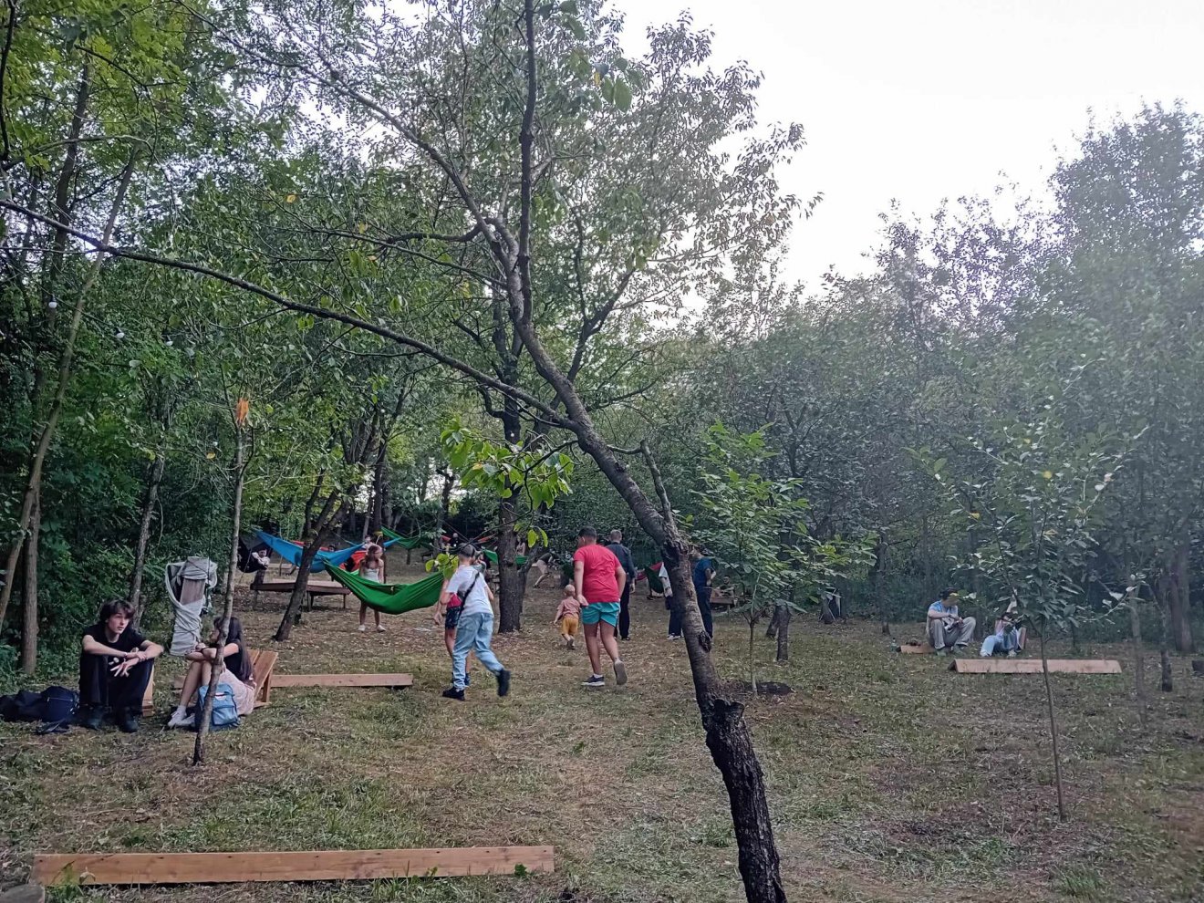 A chill zone nevű helyszín a fák árnyékában pihenhetünk •  Fotó: Bede Laura