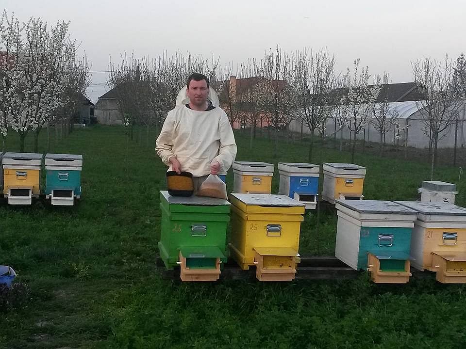 Pál Attila a kaptárak között •  Fotó: Facebook/Pál Attila