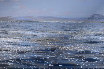 Környezeti katasztrófa sújtja a tömeges halpusztulás miatt a görög kikötővárost (VIDEÓ)