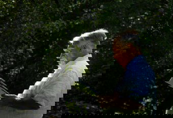 Orbán Viktor: a magyarok helye az első tízben van az olimpián, a több román siker a mi érdekünk is