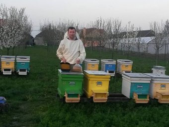 Drasztikusan csökkent a méztermelés a szárazság miatt, az olcsó importáru tovább rontja a méhészek helyzetét