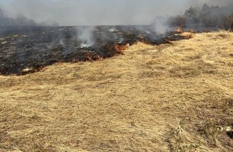 Tarlótüzek oltására és vízhiány enyhítésére riasztották az Arad megyei katasztrófavédelmet