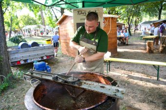Városba jön be a vidék: háztáji parasztudvar, lekvárfőzés Szatmárnémeti központjában