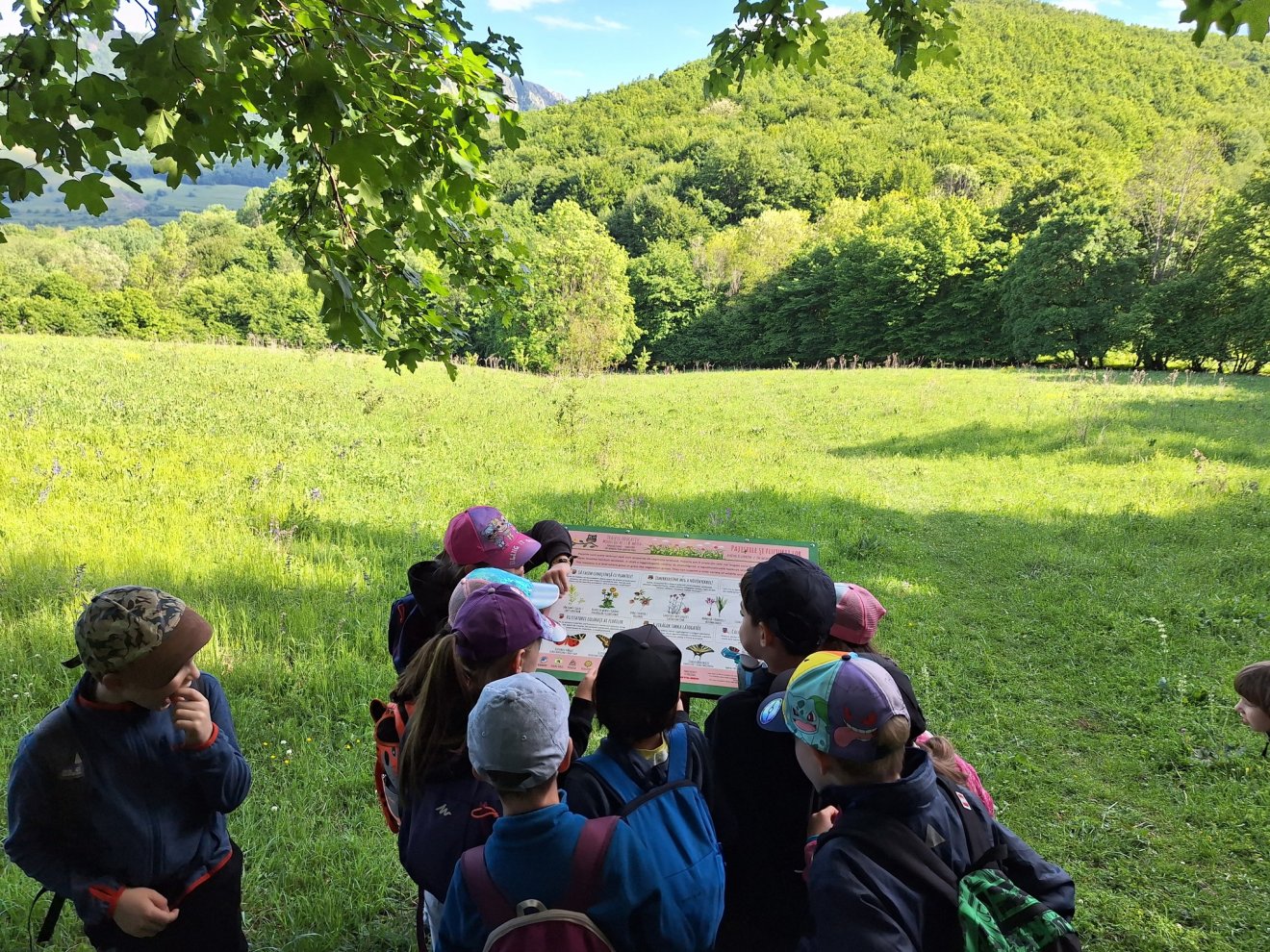 Telemark Sportegyesület
