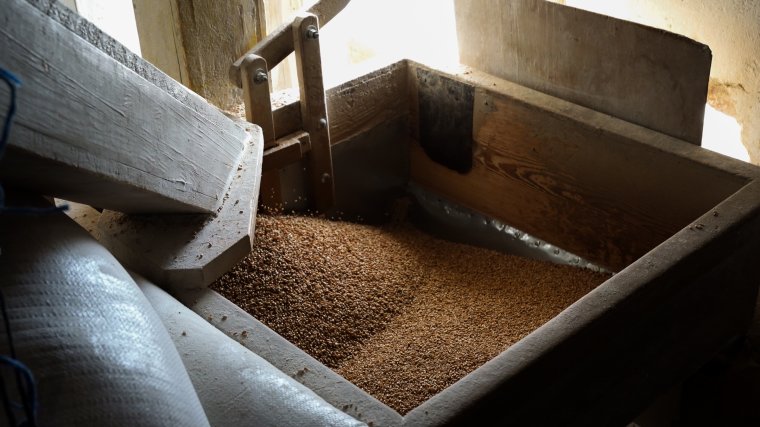 Továbbra is Románia az EU legnagyobb gabonaexportőre – Rekord az állattenyésztési ágazatban