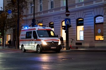 Nem volt ügyeletes a börtönben, mentővel kórházba szállították Elena Udreát