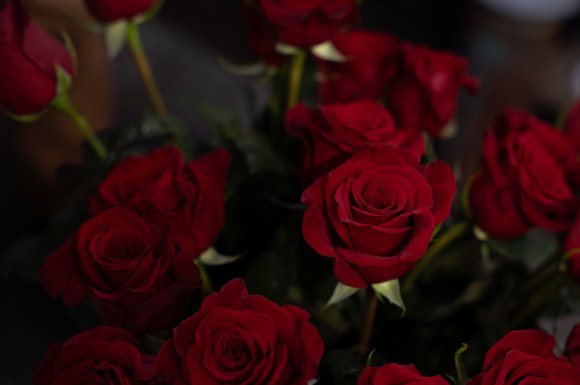 A Bálint-napi rózsacsokor útja