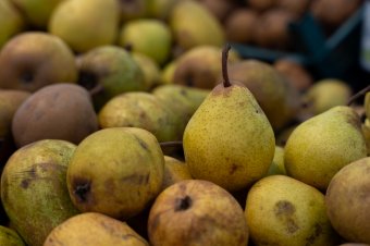 Állami támogatást kapnak a gyümölcstermesztők és a bortermelők