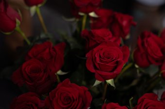 A Bálint-napi rózsacsokor útja