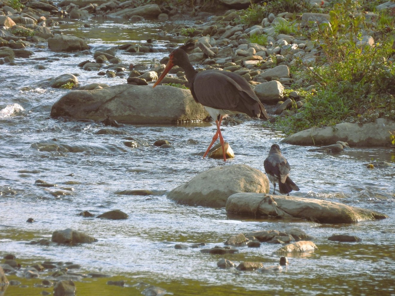 •  Fotó: Vali Bălan/ Bucegi Nemzeti Park
