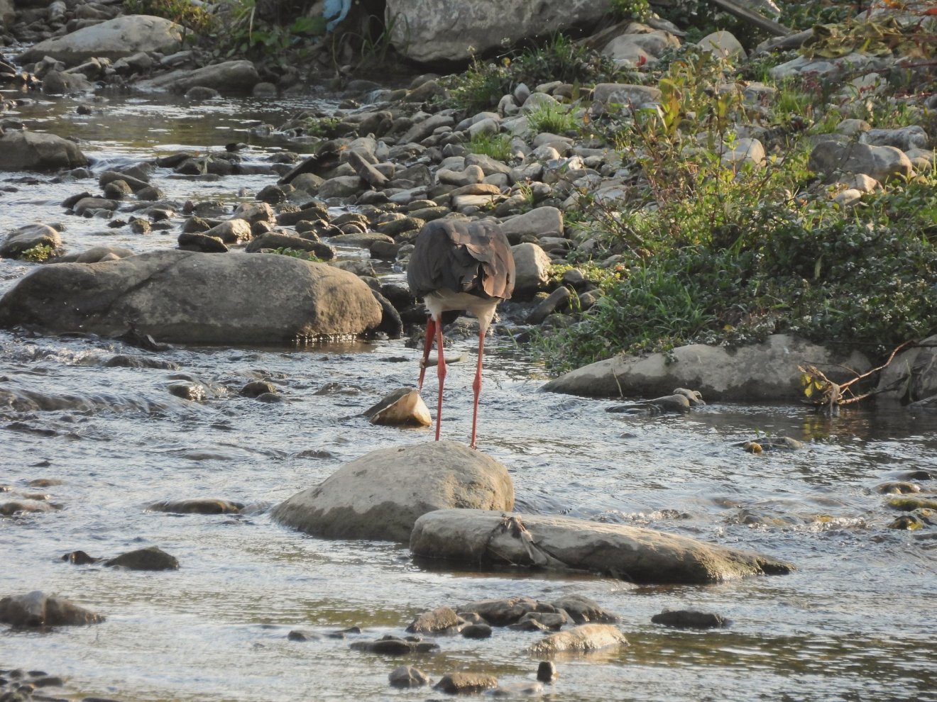 •  Fotó: Vali Bălan/ Bucegi Nemzeti Park