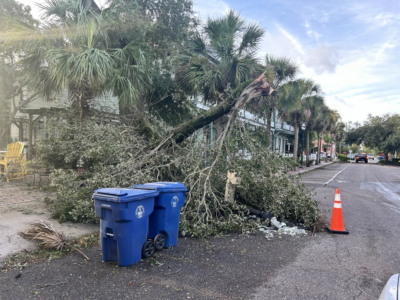 A kidőlt fák számos emberéletet követeltek •  Fotó: Facebook/City of Fernandina Beach Government