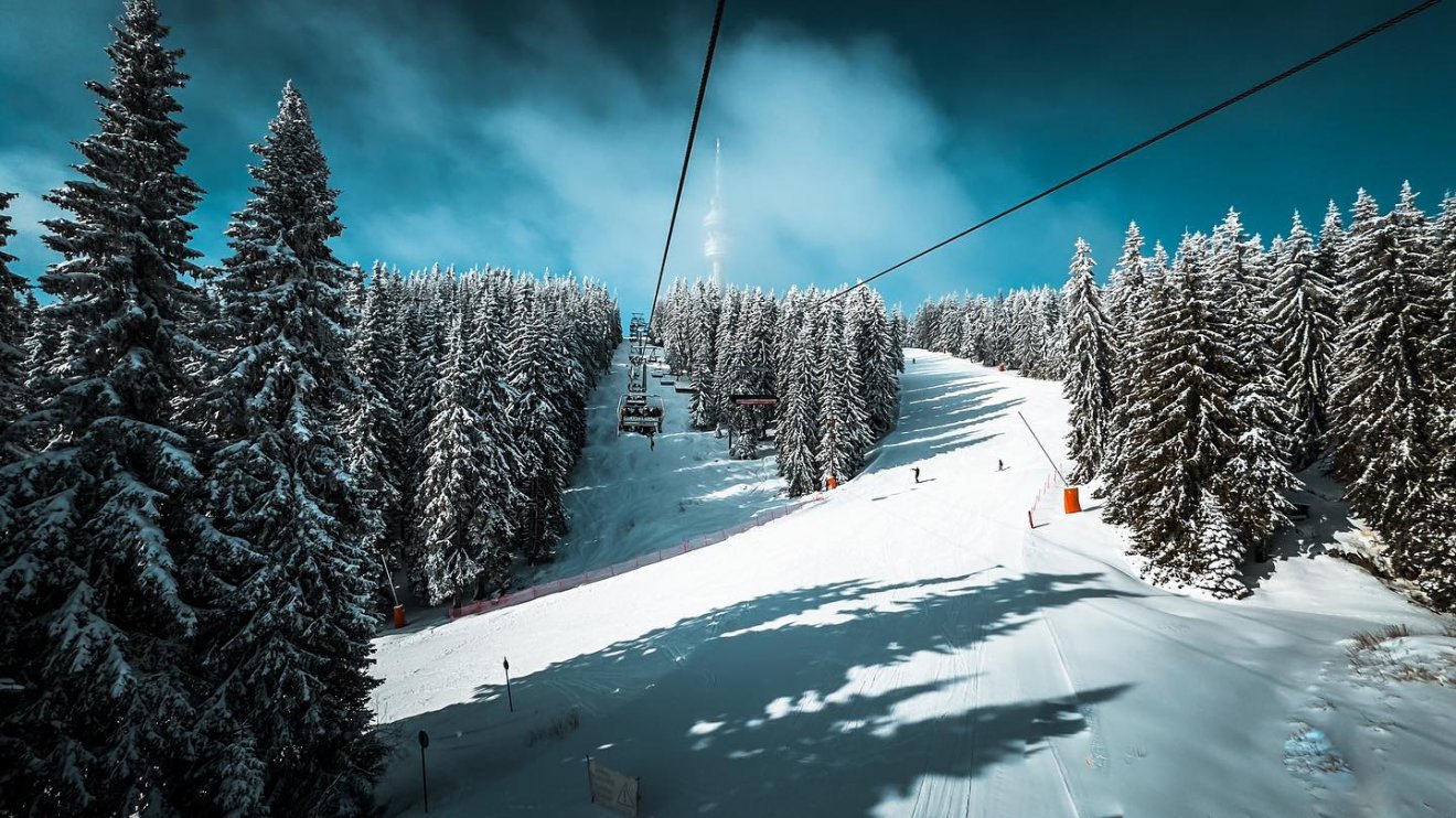 Pamporovo síterep charterjárat