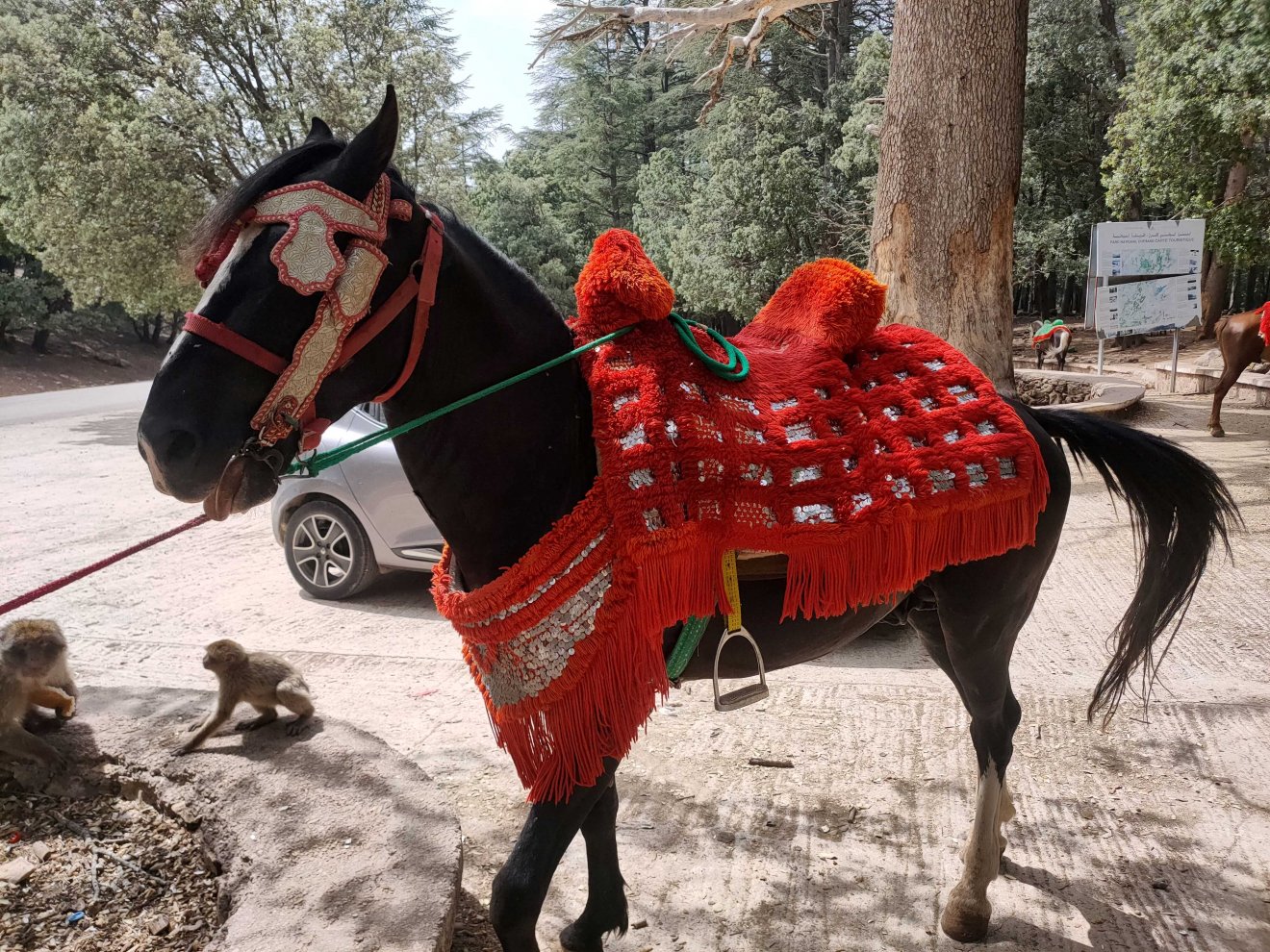 Marokkó