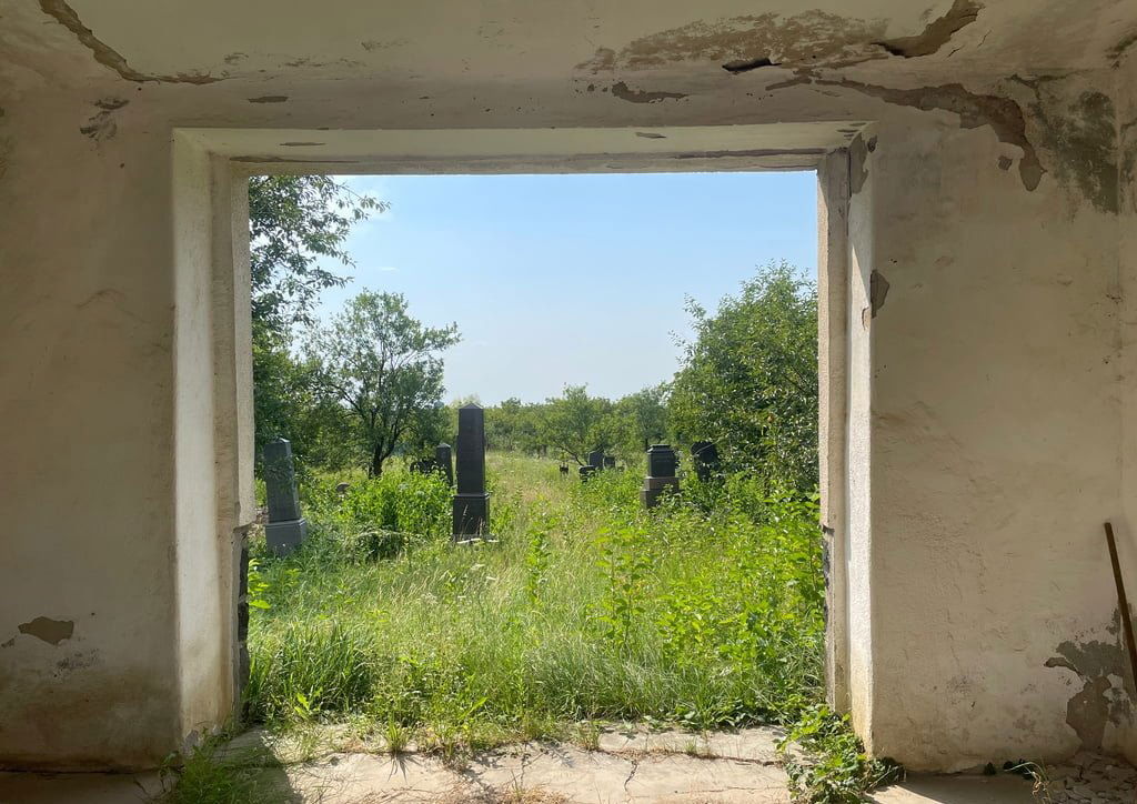 A többi Máramaros megyei vidéki temetőhöz képest  történelmi és művészeti részletekben kivételesen gazdagnak írják le a szinérváraljai zsidó temetőt •  Fotó: Ruth Ellen Gruber/Jewish Heritage Europe