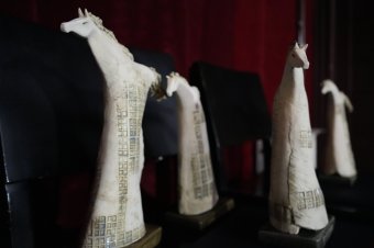 Egyre erősödik a fiatal erdélyi alkotók mezőnye a Filmtettfeszten (VIDEÓ)