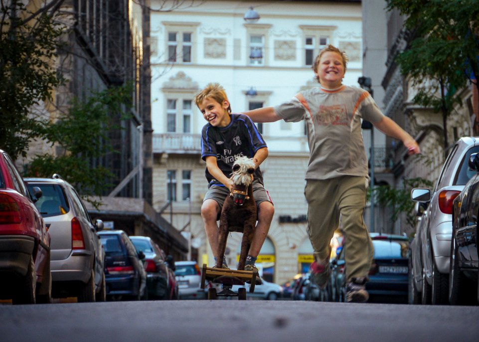 A Kix című dokumentumfilm 12 évig követi főszereplőjét a gyermekkor játékosságától a felnőttkor konformizmusáig •  Fotó: Filmtett Egyesület