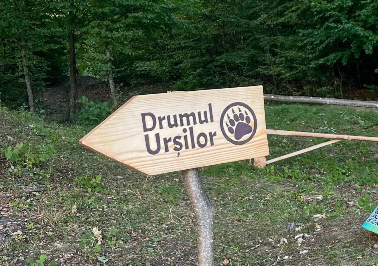 Az első jelzőtáblát már kihelyezték •  Fotó: Rucsacul cu povestiri/Drumul Urșilor