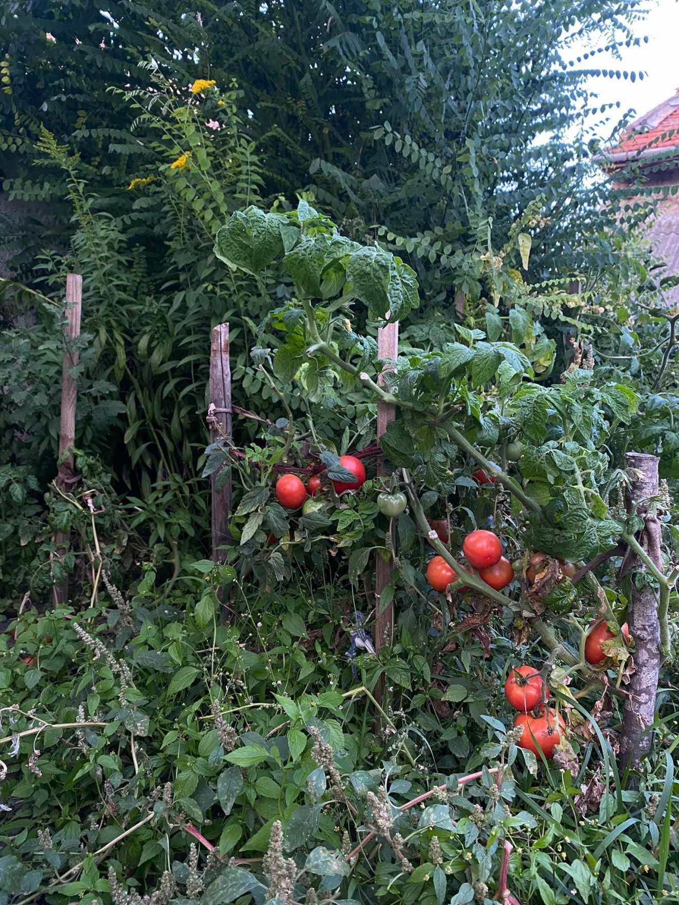 Sokan szívesen kertészkednek kikapcsolódásként, ez is növeli a vidék vonzerejét