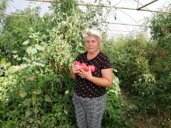 Őstermelők előnyben – Nagyobb távolságról is megéri bejárni a nagyváradi piacokra (VIDEÓ)