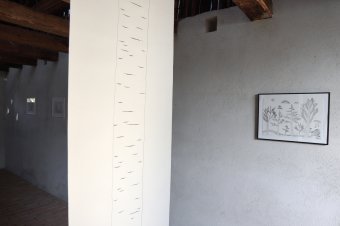 Anya és fia közös tárlata – Sipos-Gaudi Tünde képzőművész és Nagy-Gaudi Mátyás kiállítása kötődésről, értékekről