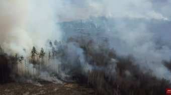 Mintegy 2600 hektárnyi terület vált a lángok martalékává a csernobili zárt övezetben