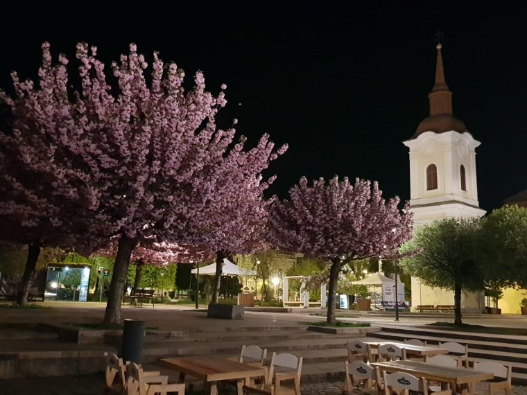Már csak néhány napot kell kibírni, és újra tavasziasra fordul az időjárás