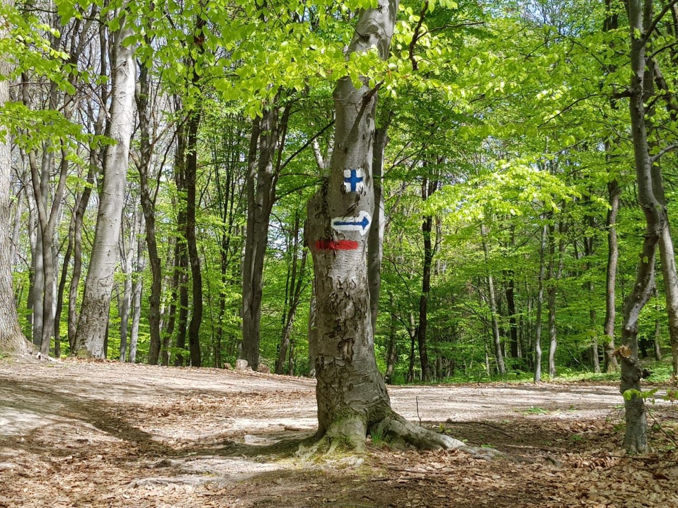 A hegyimentők azt tanácsolják a turistáknak, hogy kerüljék a megerőltető túraútvonalakat •  Fotó: Rostás Szabolcs