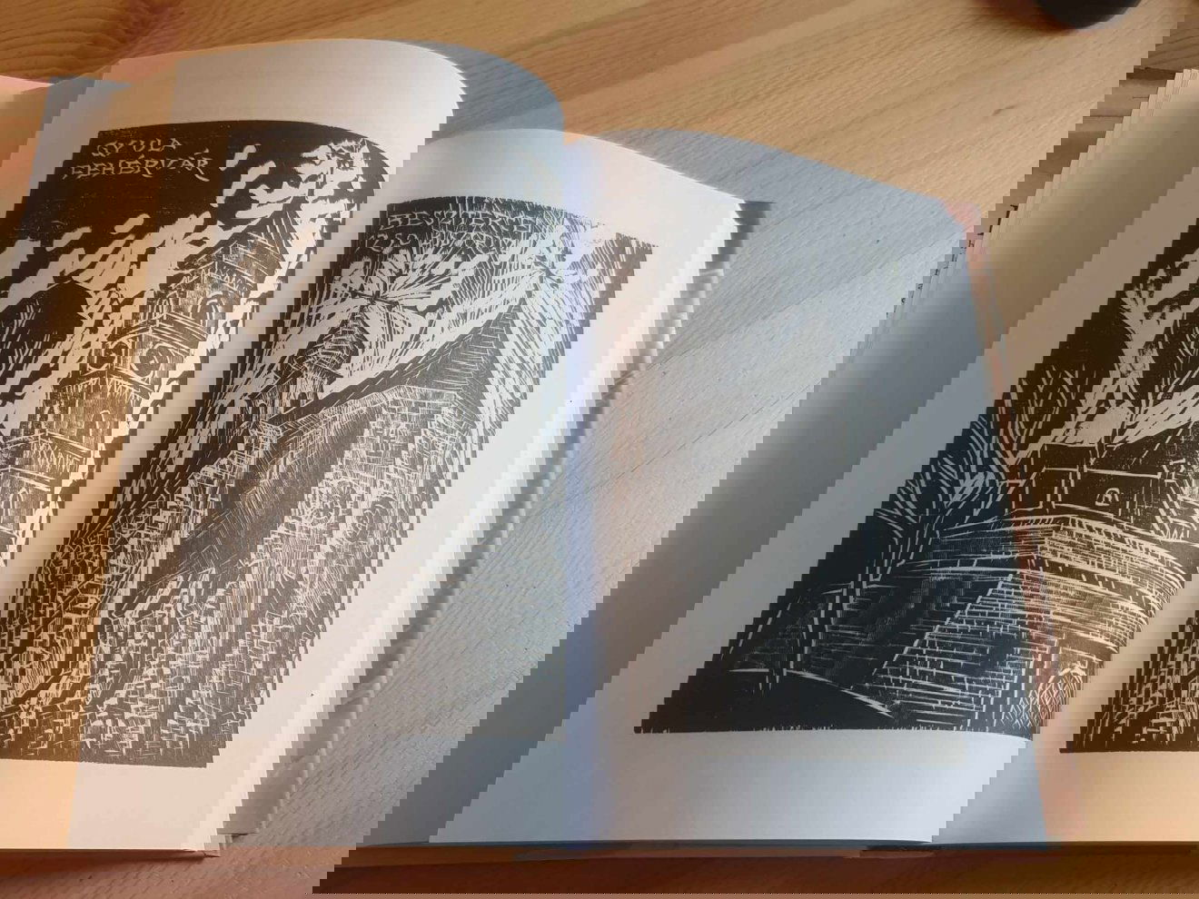 A kötetet Molnár Dénes (1947–2000) marosvásárhelyi grafikus, festő, illusztrátor fametszetei teszik értékesebbé •  Fotó: Kiss Judit