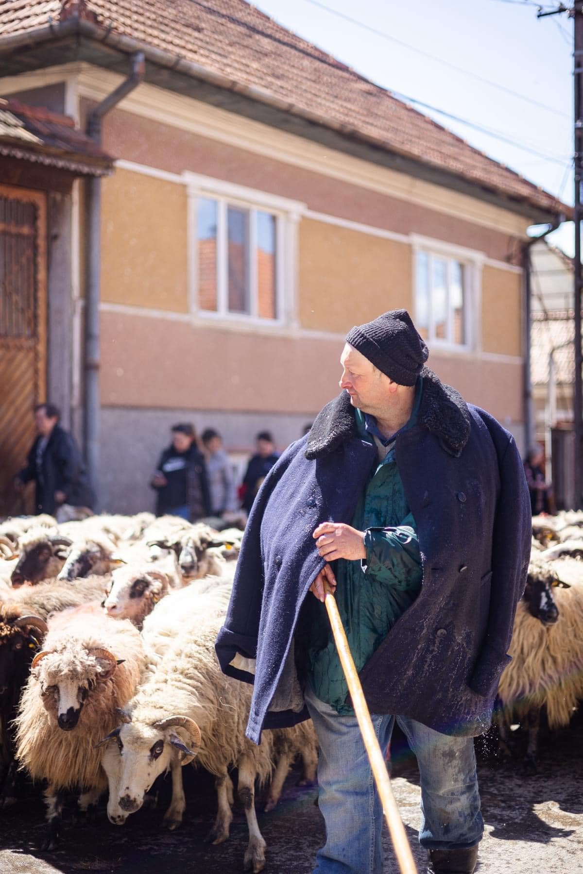 •  Fotó: Folkotthon/Sándor Lóránd