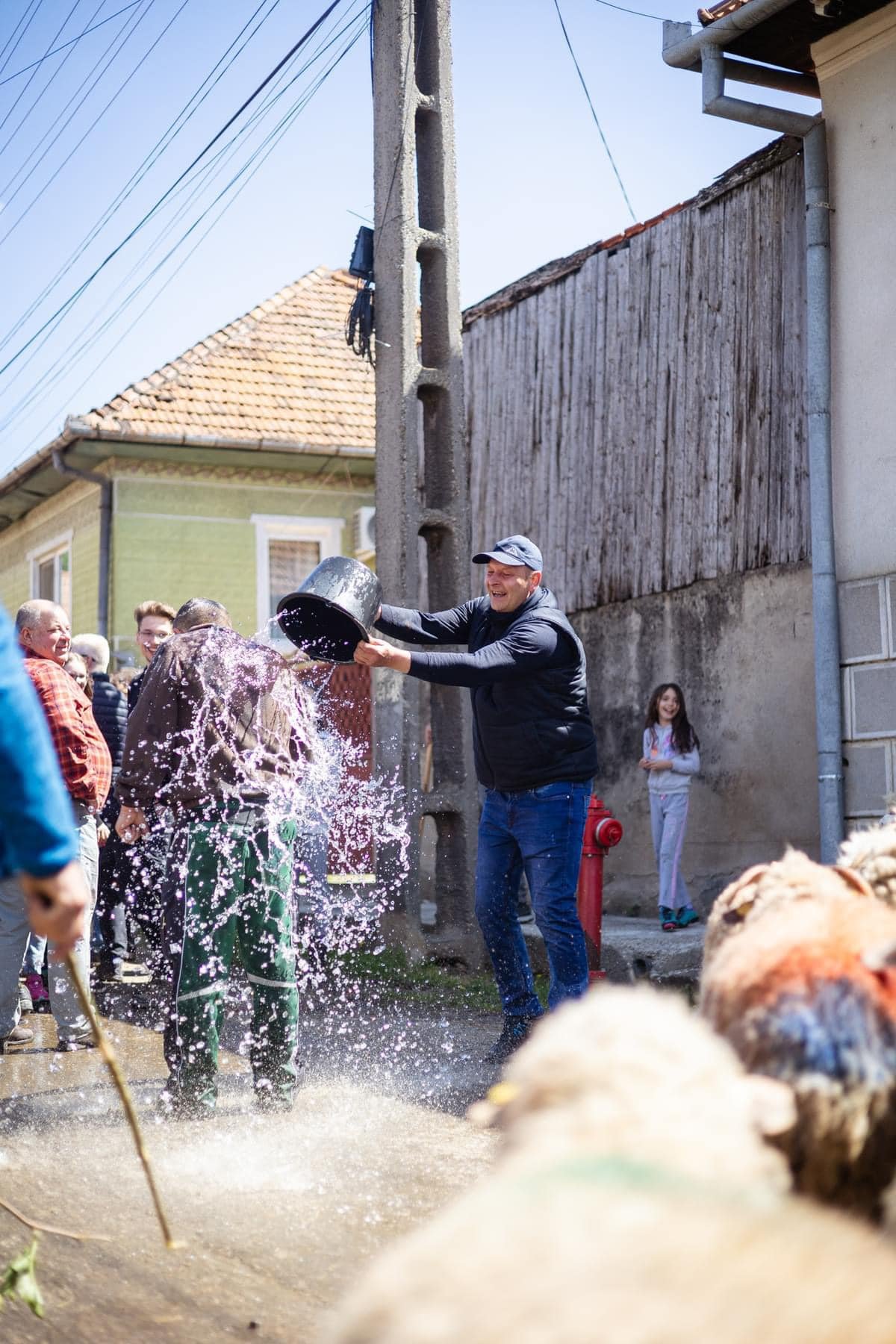 A mérai kapukban tele vizes vedrekkel várják a felvonulókat, meglocsolják a juhot, a pásztort, a gazdákat és a zenészeket is •  Fotó: Folkotthon/Sándor Lóránd