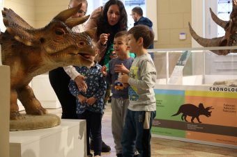 Életnagyságú rekonstrukciók is láthatóak az Utolsó dinoszauruszok Erdélyben című marosvásárhelyi tárlaton