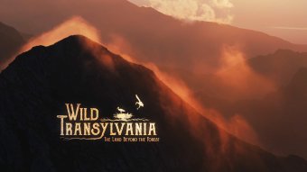 Erdély vadvilágáról szóló film premierjét is ígéri a brassói LYNX Fesztivál