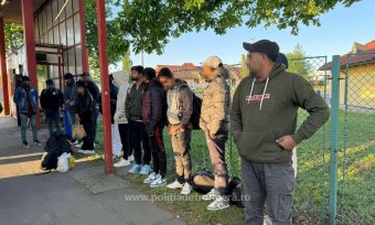 Kukoricának „álcázva” próbált meg átjutni a magyar-román határon több mint egytucatnyi migráns