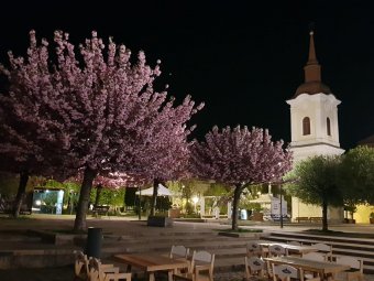 Már csak néhány napot kell kibírni, és újra tavasziasra fordul az időjárás